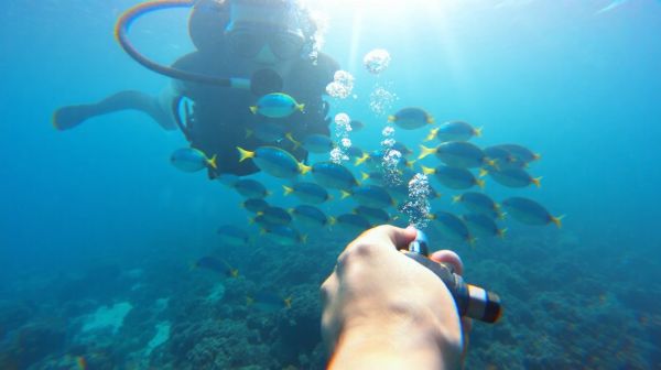 Le migliori soluzioni ai problemi frequenti dell'immersione subacquea